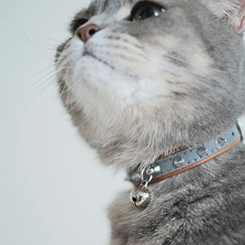 THUMBERLY Kedi Yaka Çan Yansıtıcı ve Ayarlanabilir PU Deri Perçinler Çivili Sağlam Metal Toka Yavru Küçük Evcil Köpek Yavrusu-Kahverengi